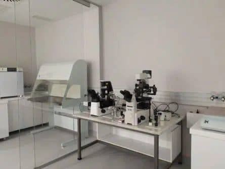 Unidad Ginemed Jerez, foto 6 de 27